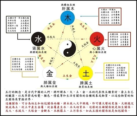 土剋什麼|五行相剋是什麼？五行平衡與補救秘訣完整教學 